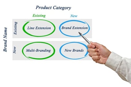 A New Perspective on Brand Extendibility